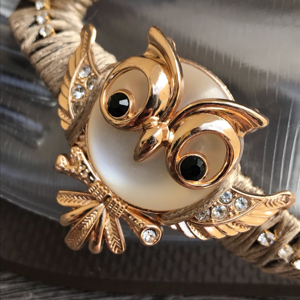 🦉Dear Owl Havaianas Sandals - Picture 4 of 8